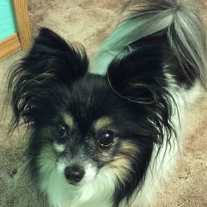 Meet your Posher, Kathy